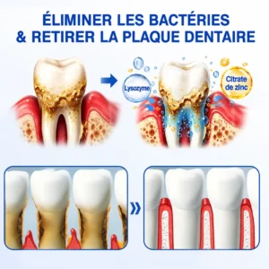 𝑷𝒖𝒓𝒆𝒍𝒐𝒓𝒂® 𝑮𝒖𝒎𝑹𝒆𝒗𝒊𝒗𝒆 𝑮𝒆𝒍 𝒅𝒆 𝑹é𝒑𝒂𝒓𝒂𝒕𝒊𝒐𝒏 𝑷𝒂𝒓𝒐𝒅𝒐𝒏𝒕𝒂𝒍𝒆
