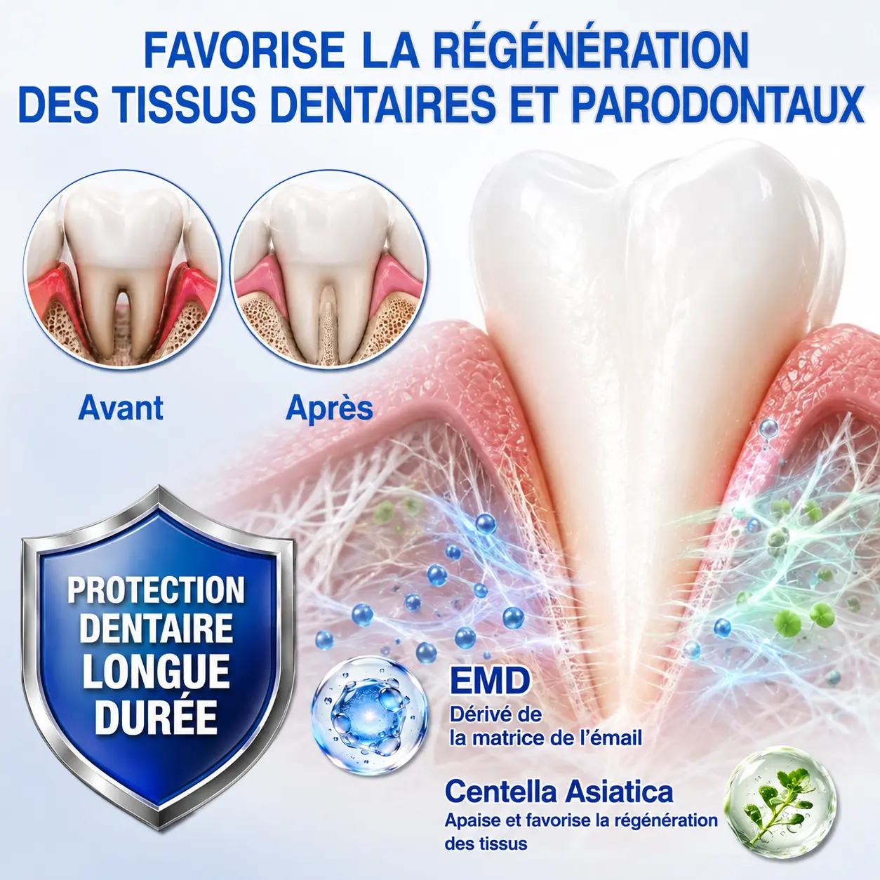 Glimmerly® Gel de Réparation Parodontale GumRevive